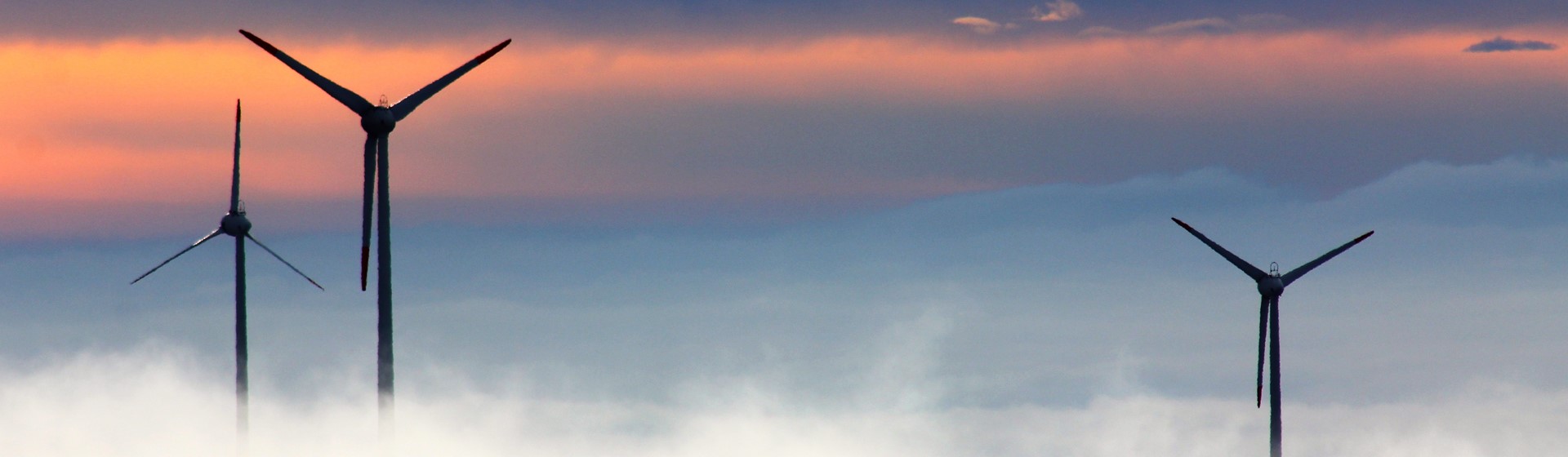 Black Windmill 33493