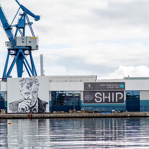 Steffen Muldbjerg Y113 Gry8ka Unsplash