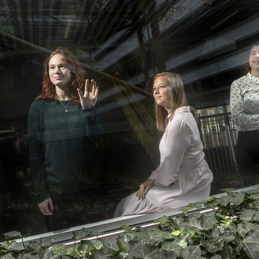 2Flojqjy0dke8aqb 660 440