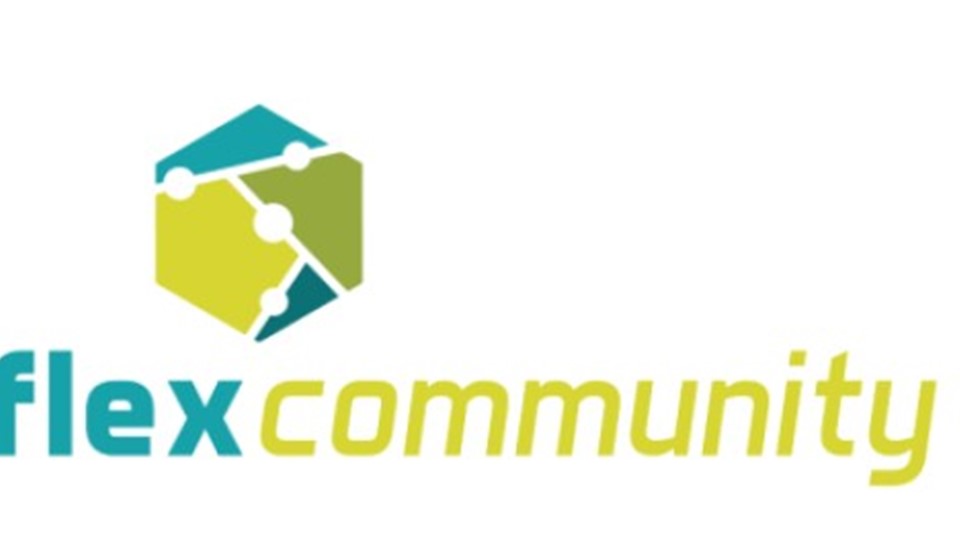 Flexoffer Til Partnernyt